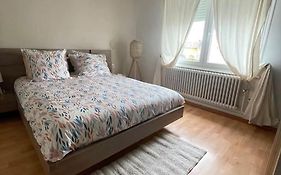 Maison Neuve Entierement Renove